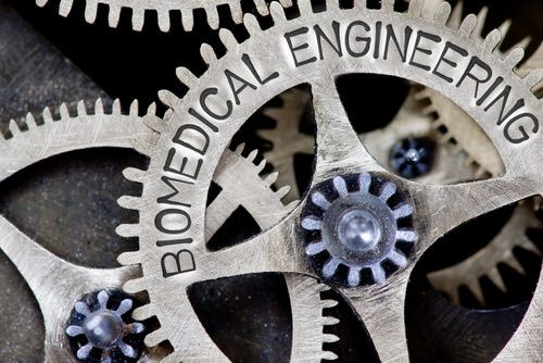 doctor of biomedical engineering degree programs