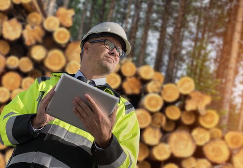 The 5 Best Doctor of Forestry Degree Programs in 2021: Salary and  Information