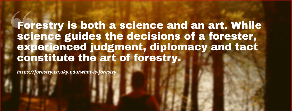 Forestry Careers fact