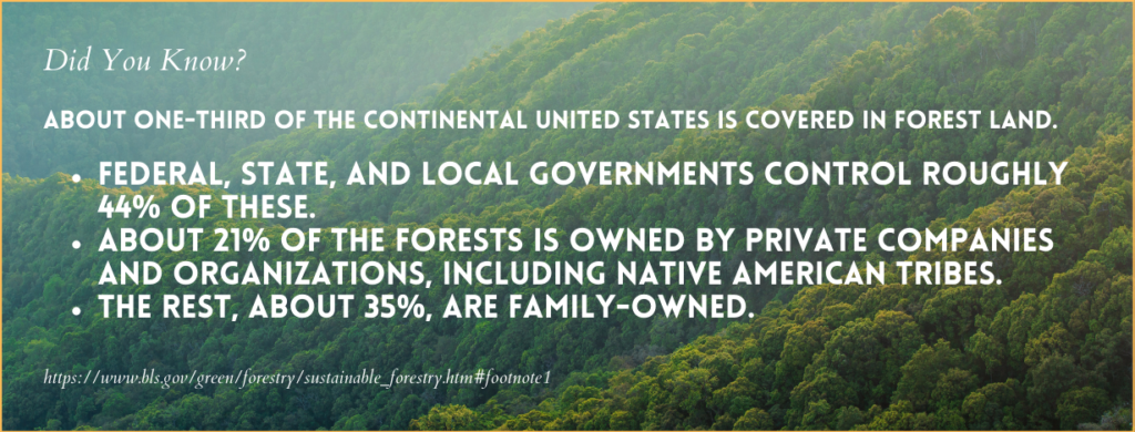 A Guide to Forestry and Conservation Online PhD Degrees