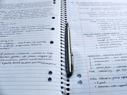 study your notes