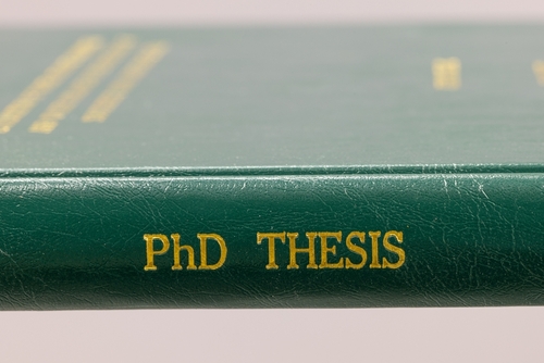 ph.d. thesis